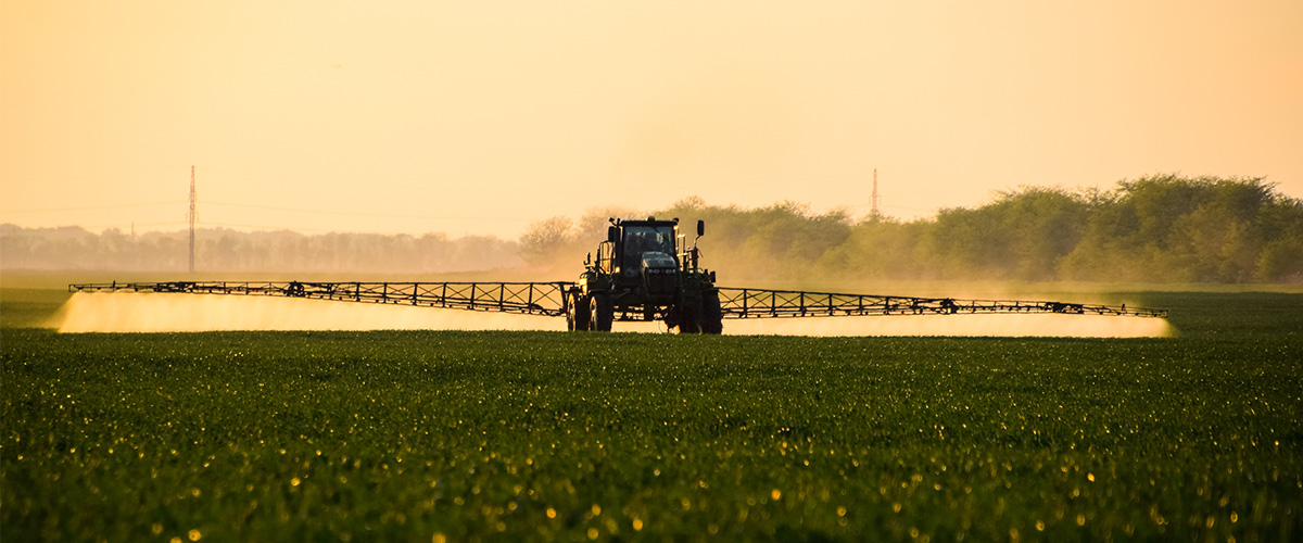 Tractor spraying crops in a large green field during sunset with mist spreading across plants